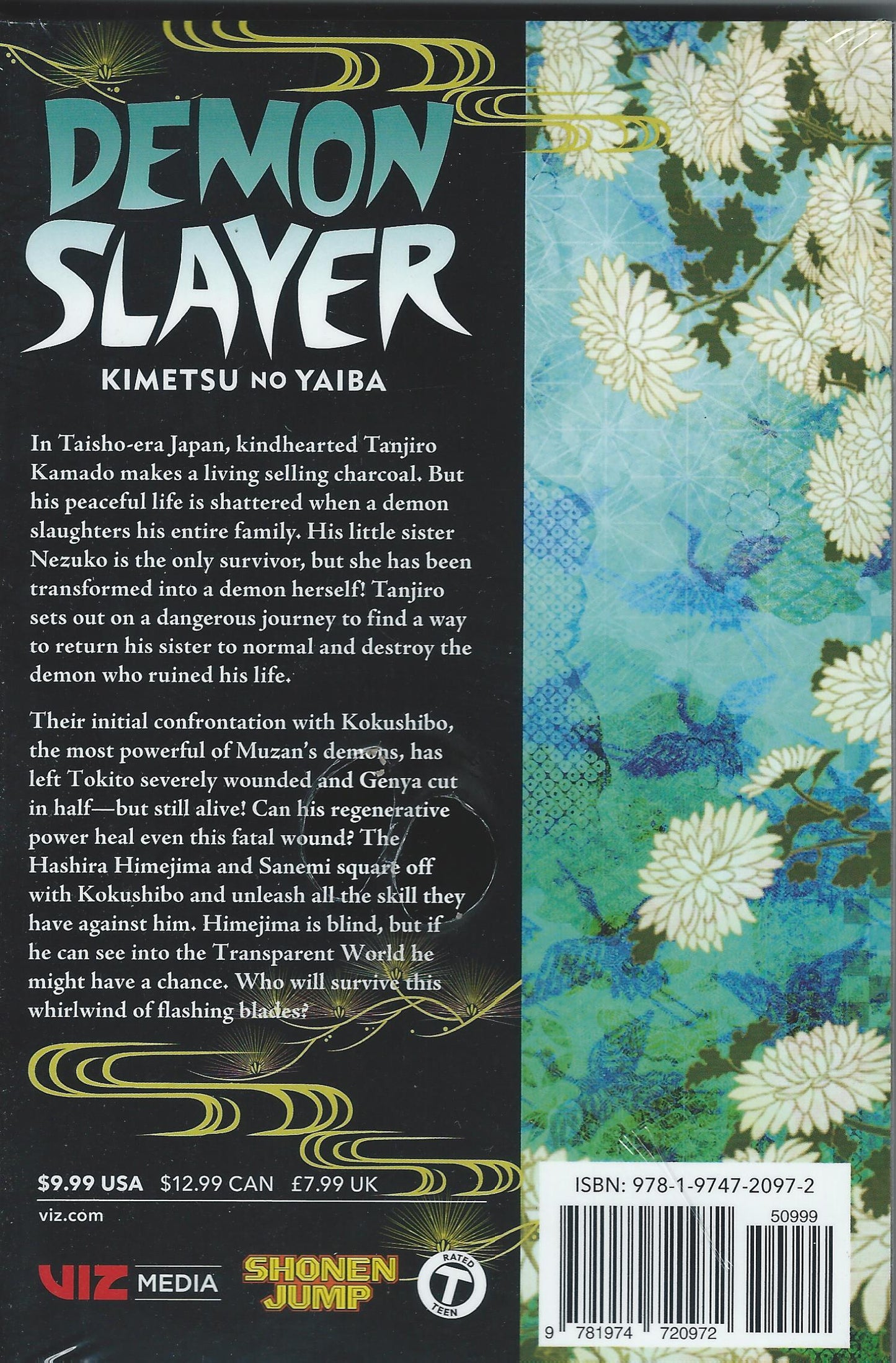 Demon Slayer manga book Volume 20 cover art display