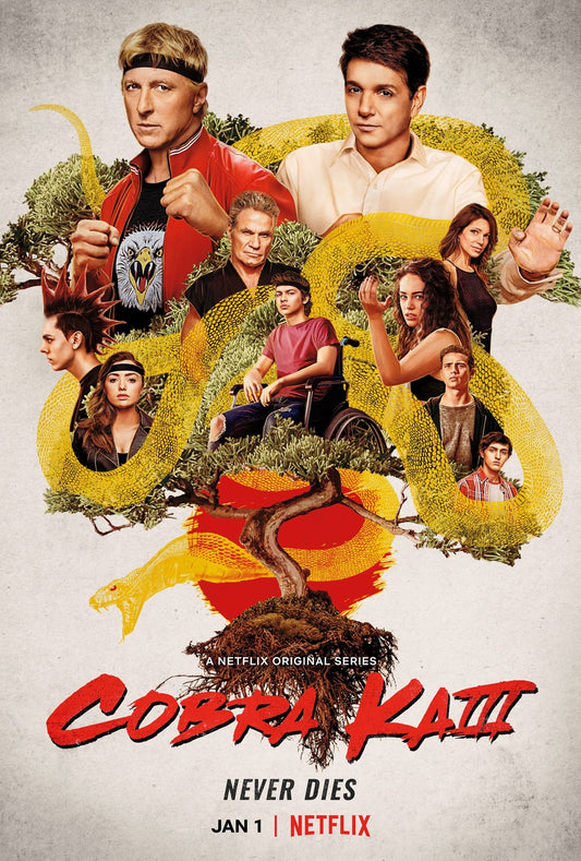 Cobra Kai (2018-) Season 1-3