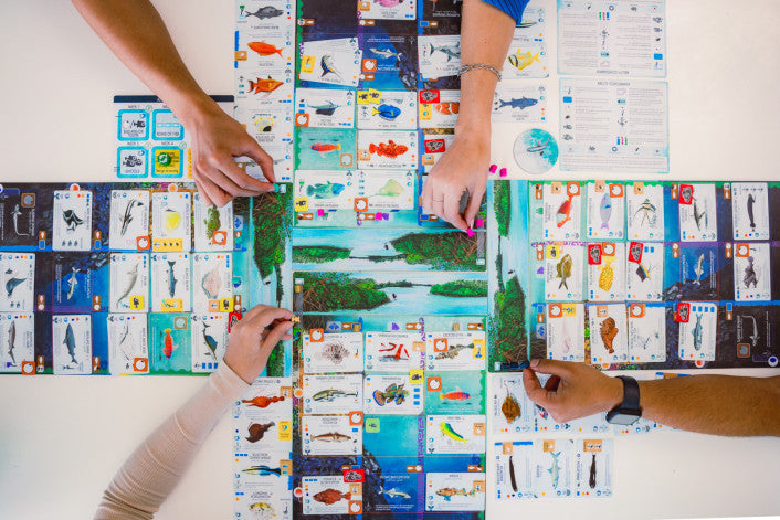 Finspan board game with ocean zones and solo play setup