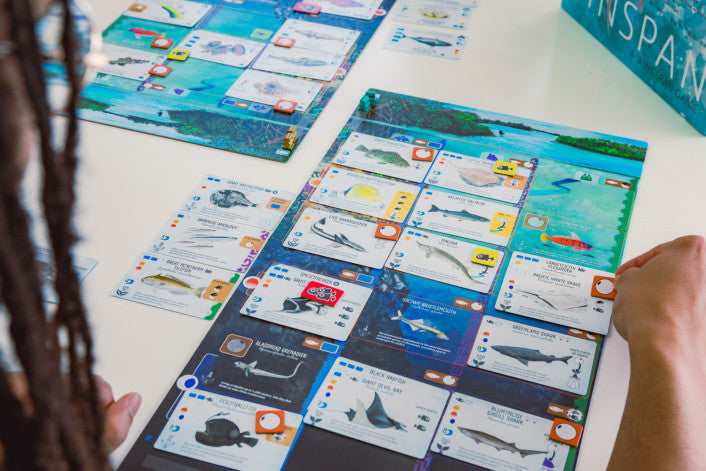 Finspan board game with ocean zones and solo play setup